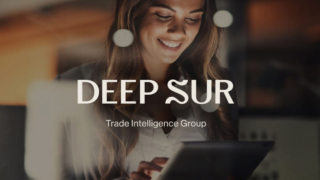 Branding Deep Sur Trade and Logistics