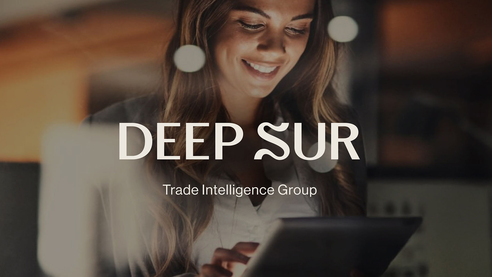 Branding Deep Sur Trade and Logistics