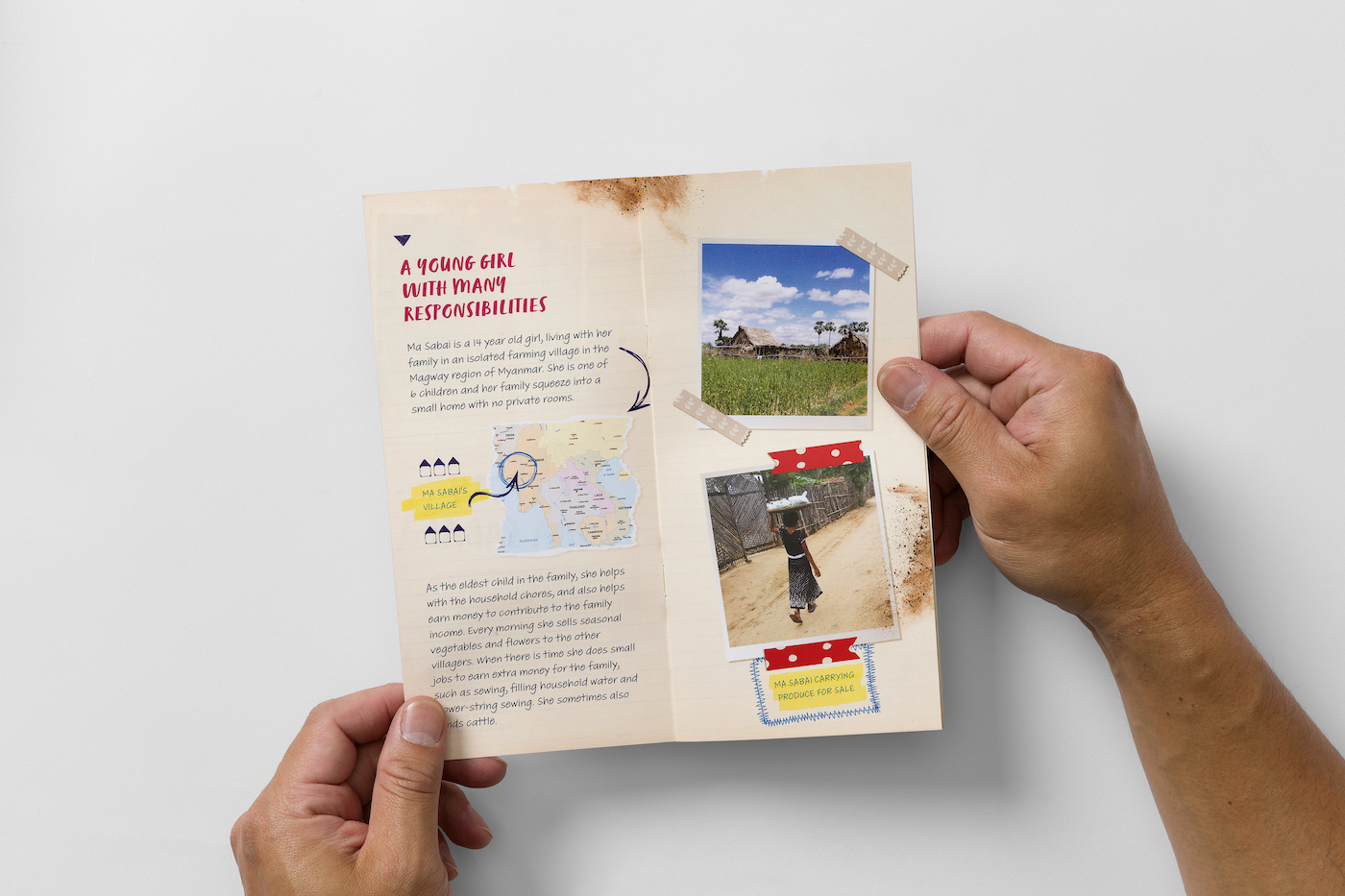 Direct Marketing brochure for Burnet Institute - inside pages