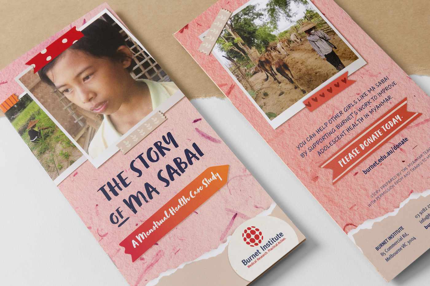 Direct marketing brochure for Burnet Institute