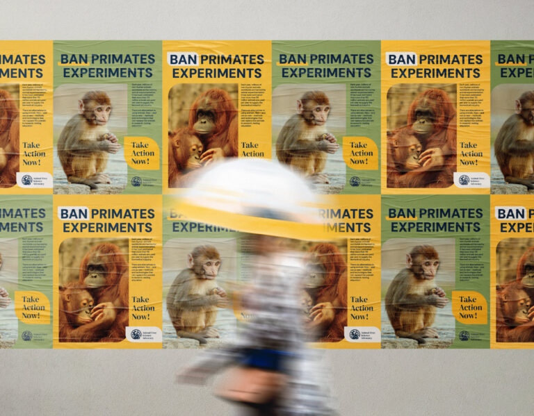 Print design services by Christie Davis Design