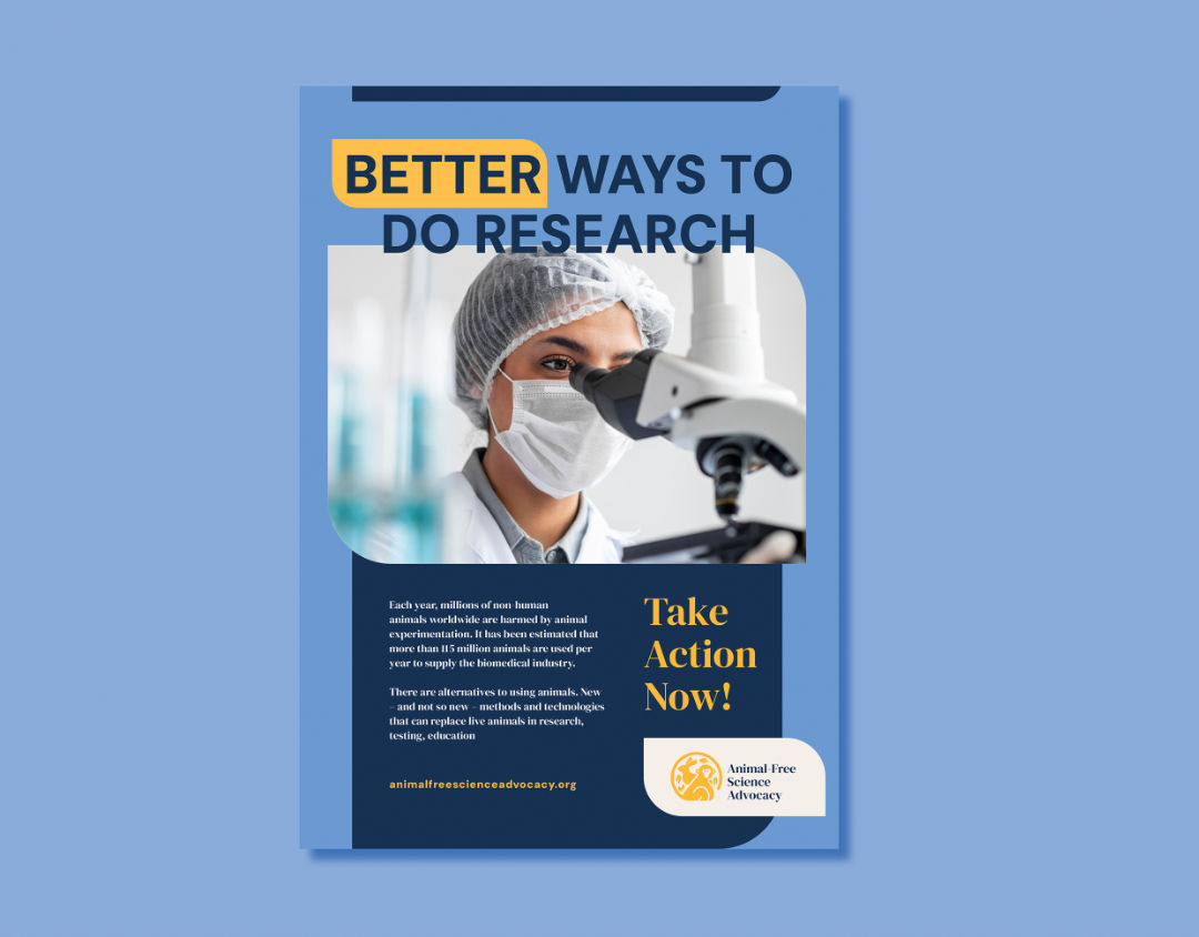 Rebrand for a Not-for-Profit – image style and applications. Re-branding ASFA.