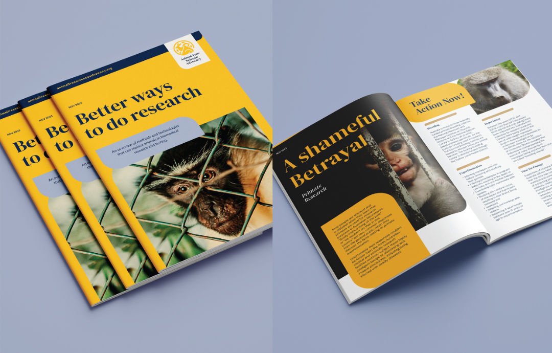 Rebrand for a Not-for-Profit – report cover and inside spread