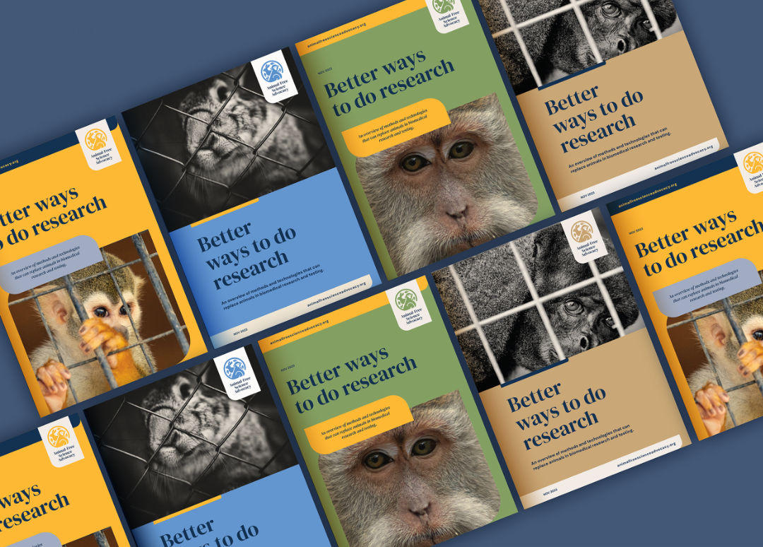 Rebrand for a Not-for-Profit – report covers